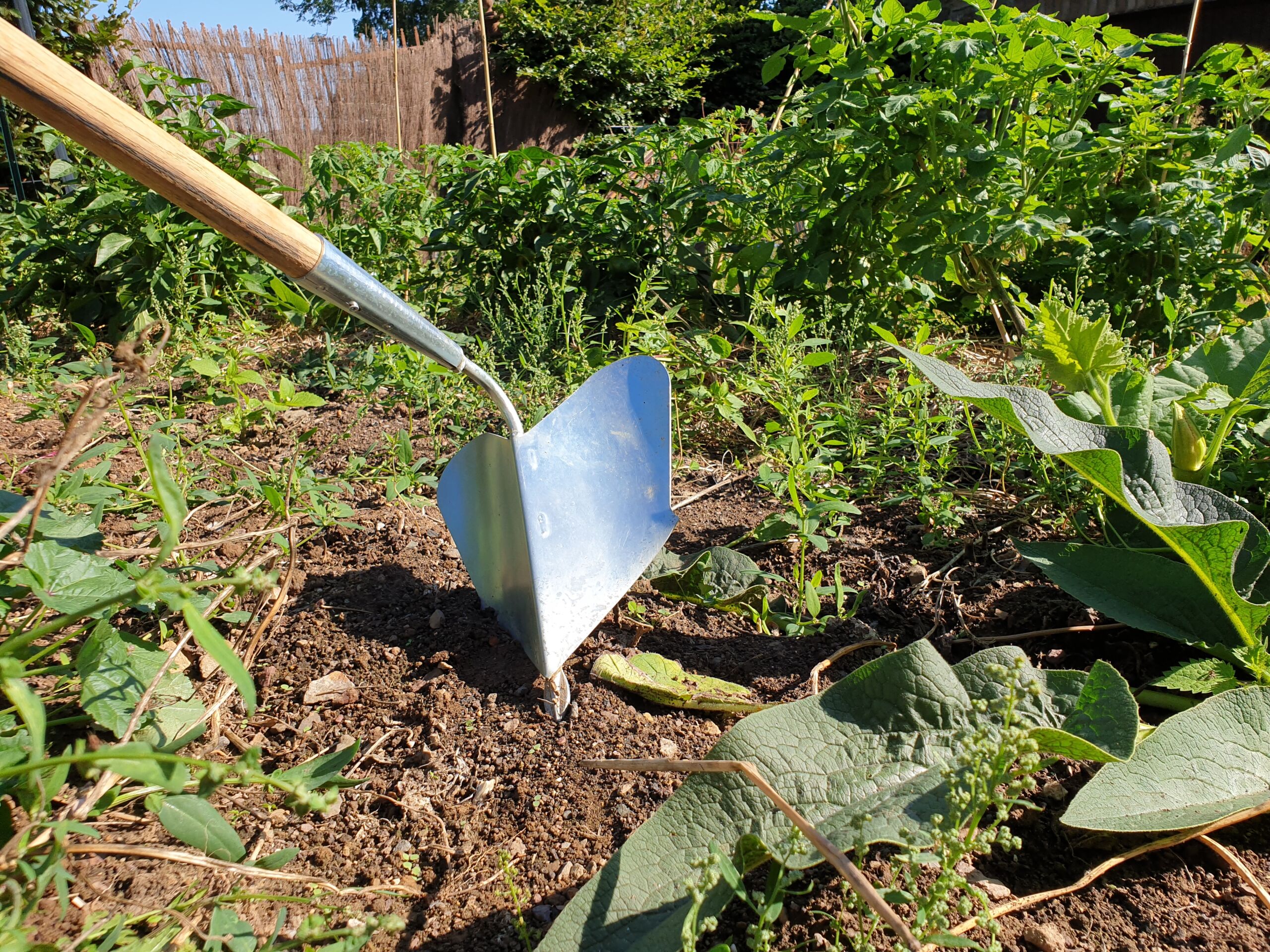 Buttoir à main – Cecotec - Outil de jardinage durable